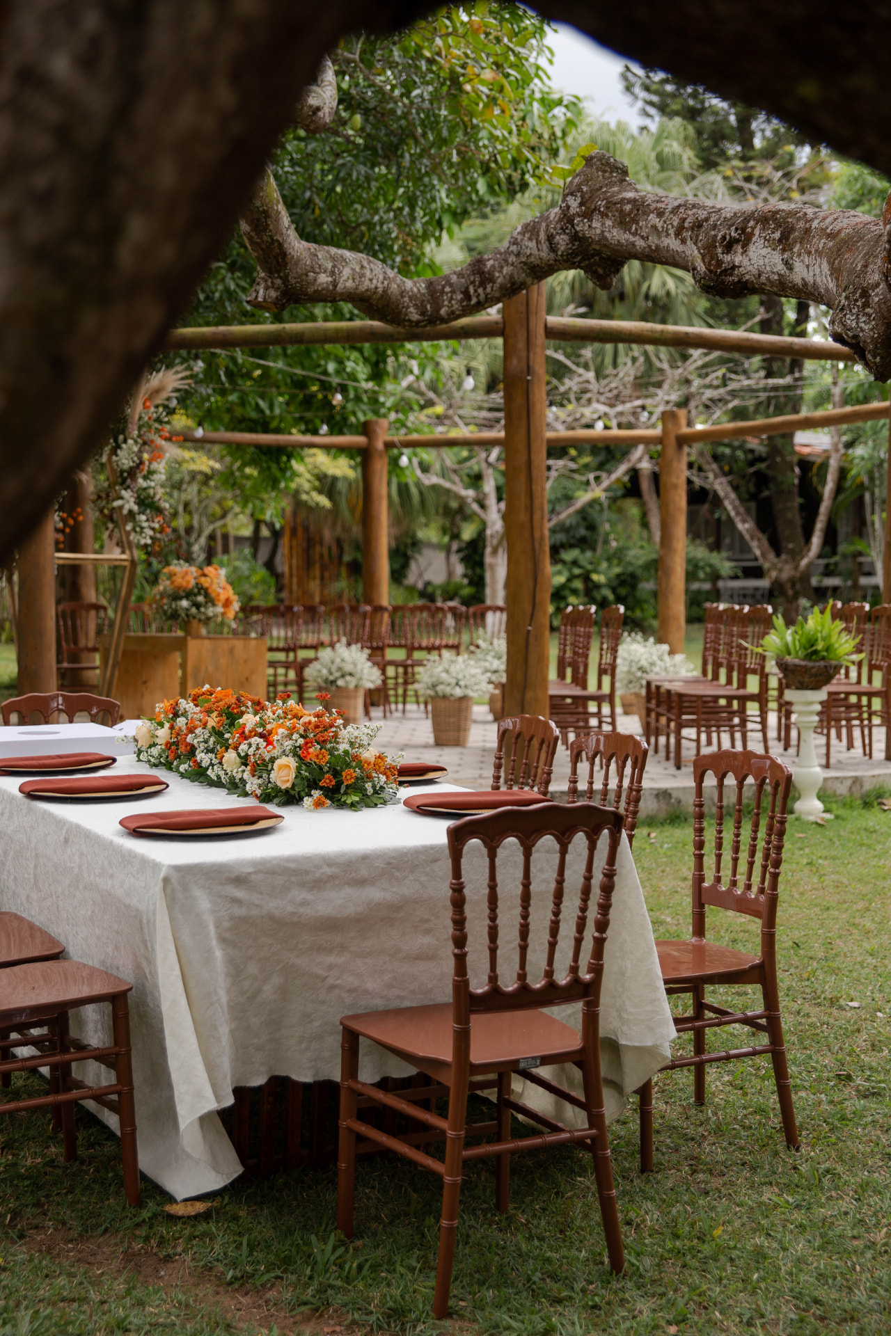 Jardim arborizado da Chácara Campos Elísios